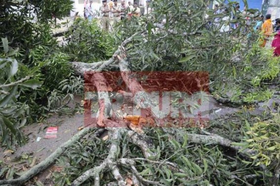 Four killed, property damaged in Tripura storm Four killed, property damaged in Tripura storm